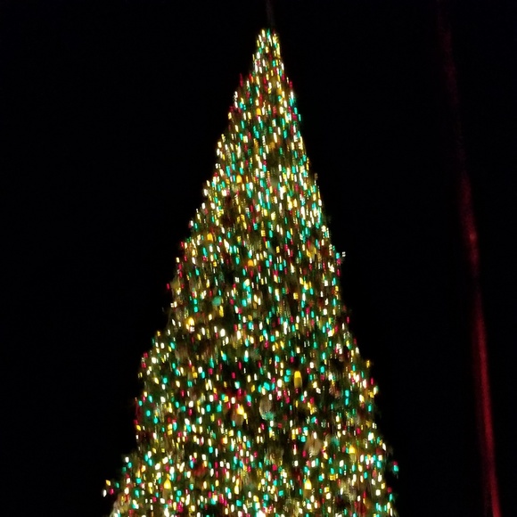 Meet your Posher, Audrey - Picture 3 of 4